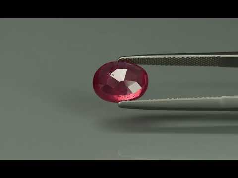 Primary video