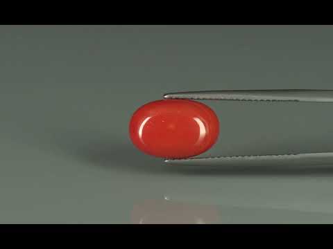 Primary video