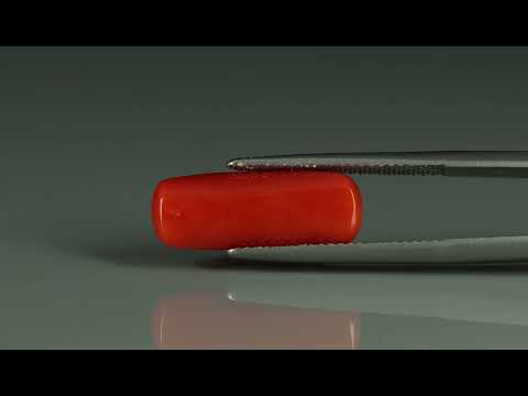 Primary video