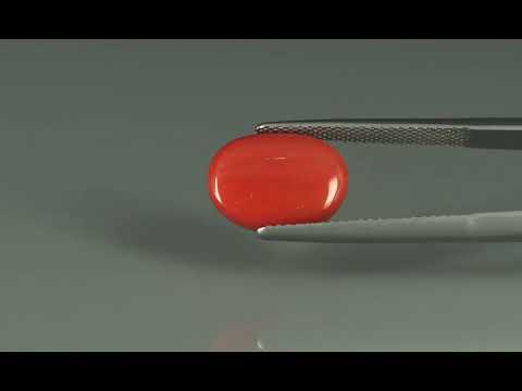 Primary video
