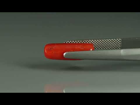 Primary video