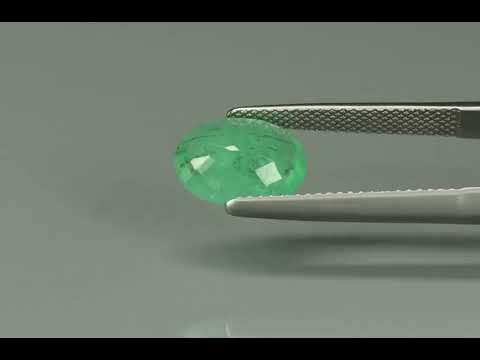 Primary video