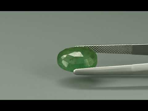 Primary video
