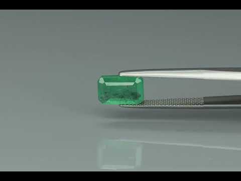 Primary video