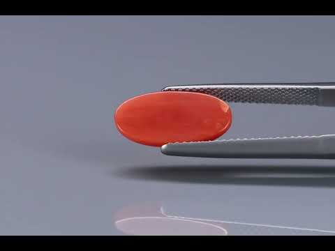 Primary video