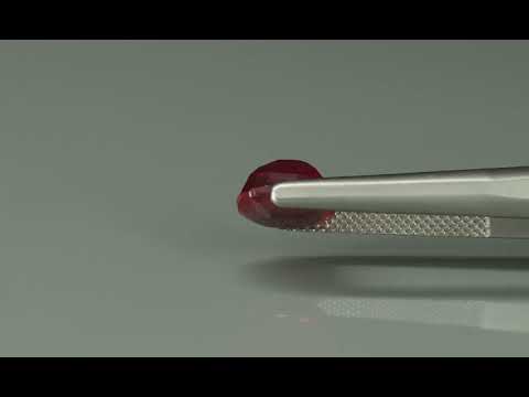 Primary video
