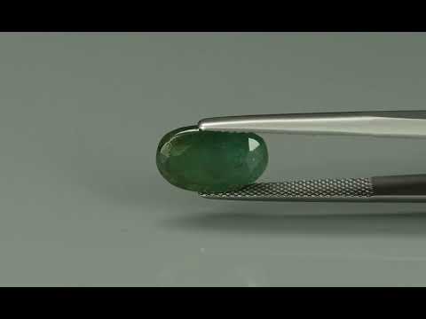 Primary video