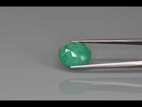 Primary video