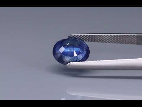 Primary video