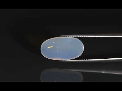 Primary video