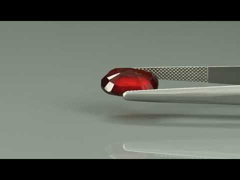 Primary video