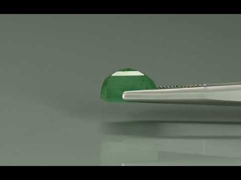 Primary video