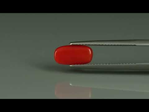 Primary video