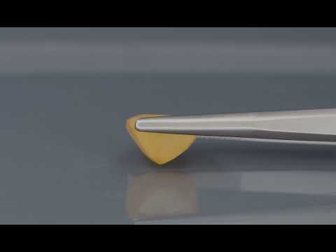 Primary video