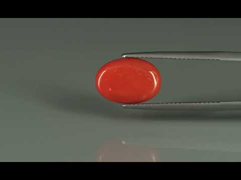 Primary video