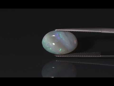 Primary video