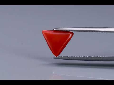 Primary video