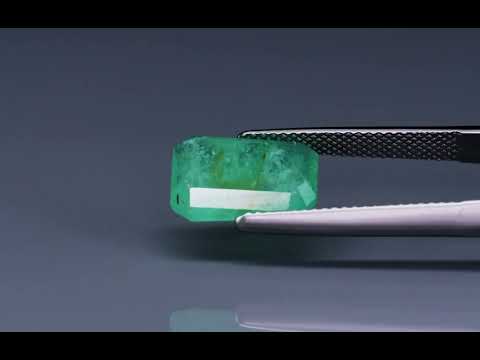 Primary video