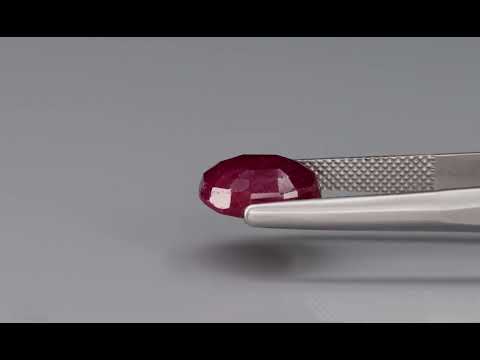 Primary video