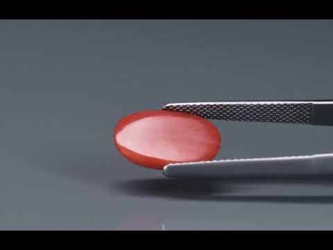 Primary video