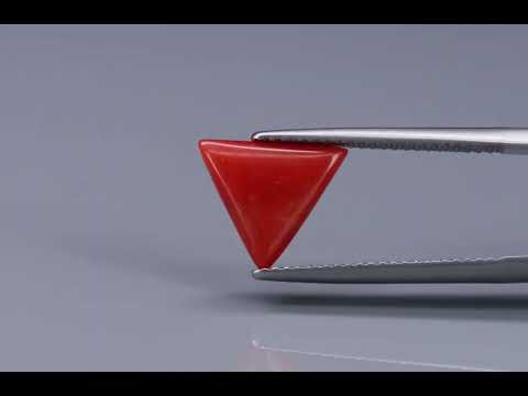 Primary video