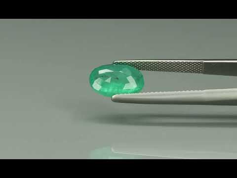 Primary video