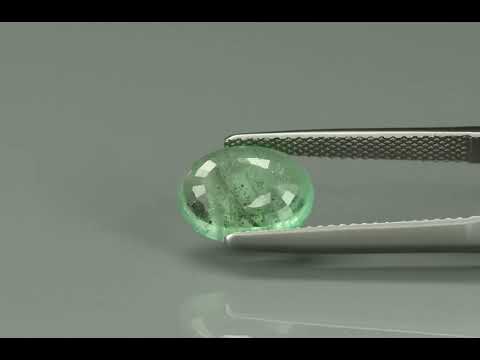 Primary video