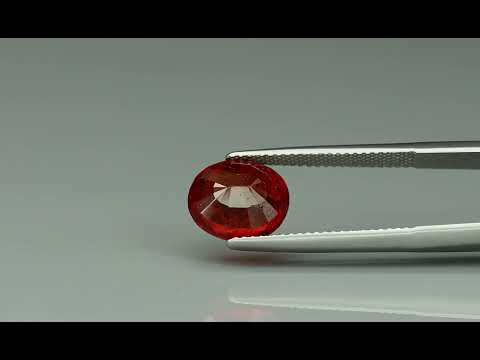Primary video