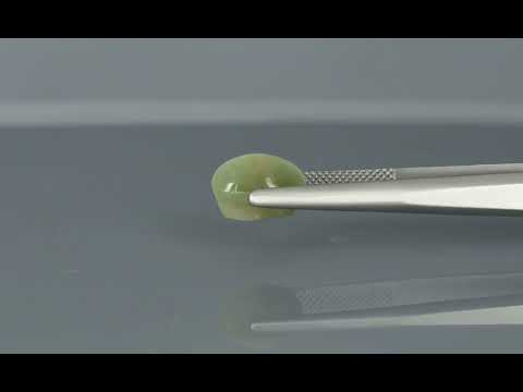Primary video