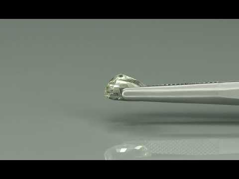 Primary video