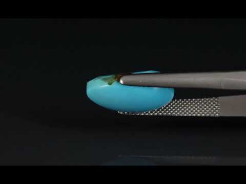 Primary video