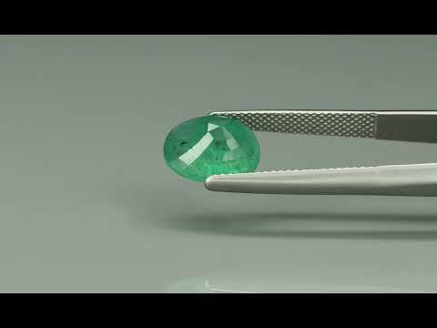 Primary video