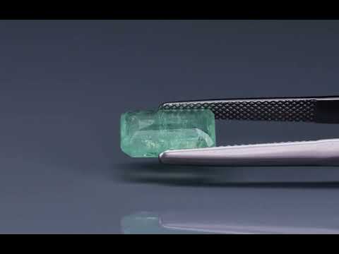 Primary video