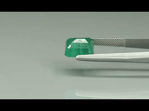 Primary video