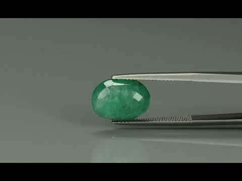 Primary video