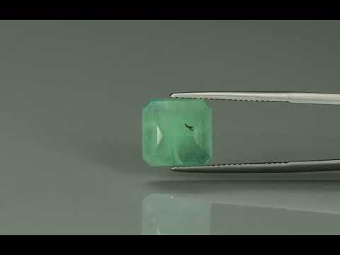 Primary video