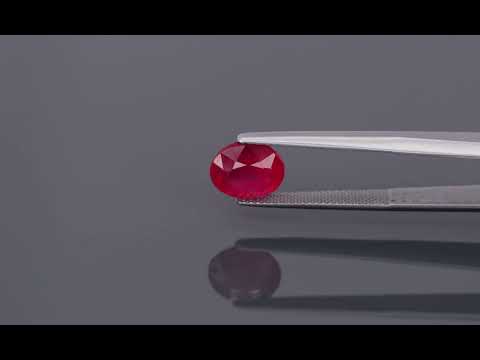 Primary video