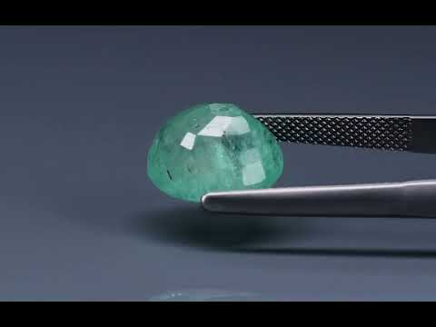 Primary video