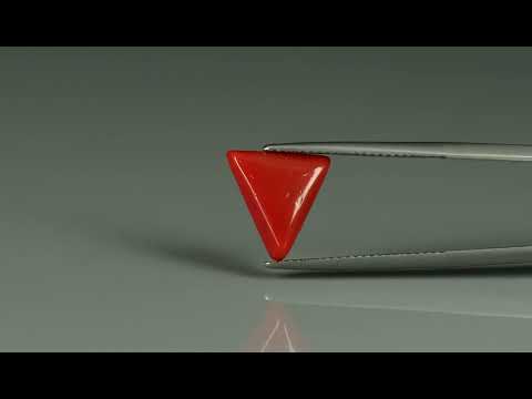 Primary video