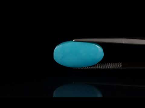 Primary video