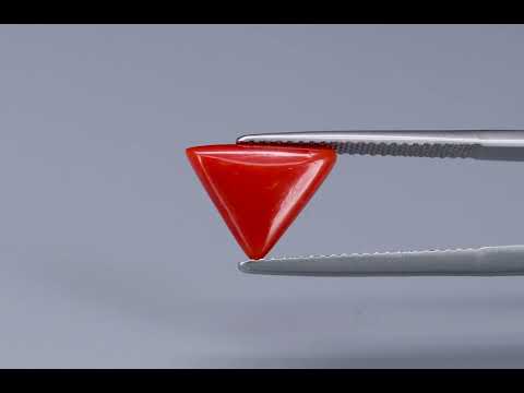Primary video