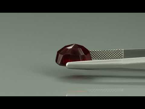 Primary video