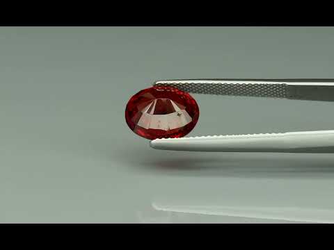 Primary video