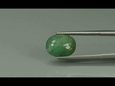Primary video