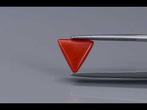 Primary video