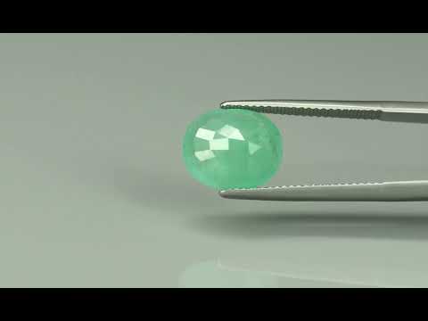 Primary video