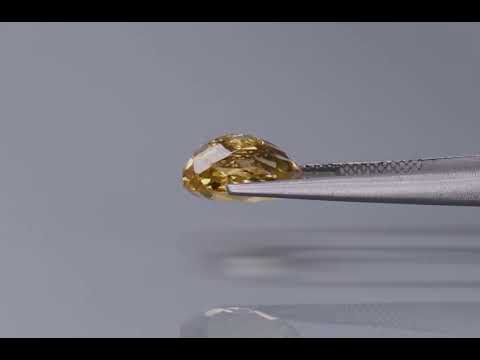 Primary video