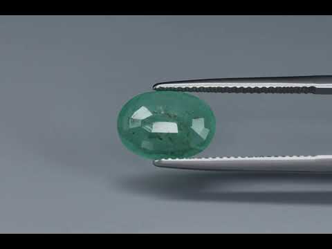 Primary video