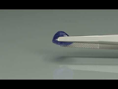 Primary video
