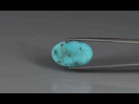 Primary video